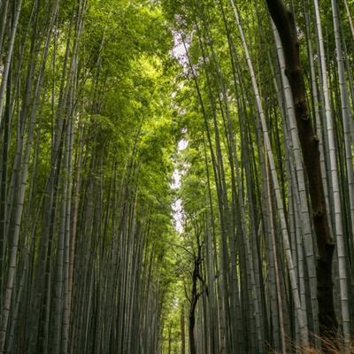 国足1-3负日本，和首回合0-7相比，国足有哪些进步？谁表现最好？